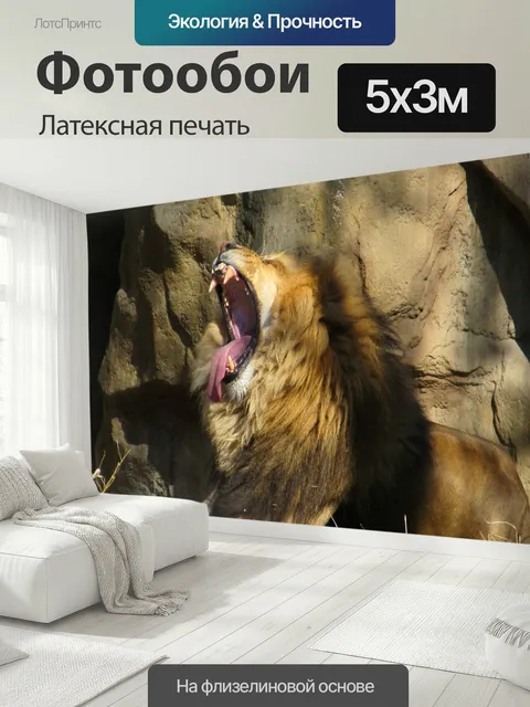 500 × 300 см · Латексная печать