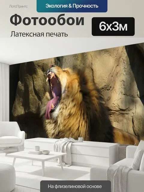 600 × 300 см · Латексная печать