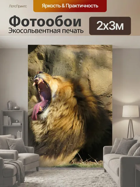 200 × 300 см · Экосольвентная печать
