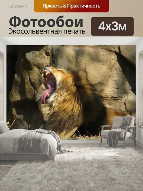 400 × 300 см · Экосольвентная печать
