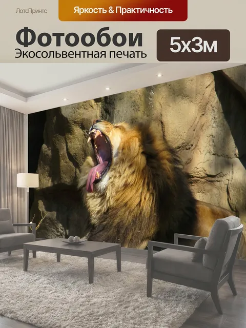 Фотообои Лев Зияющие Король джунглей отдыха и зевая в его зоопарке корпус лев мужчина зевота зубы язык рот гривой…