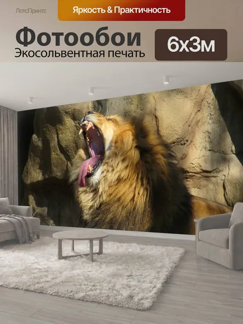 600 × 300 см · Экосольвентная печать