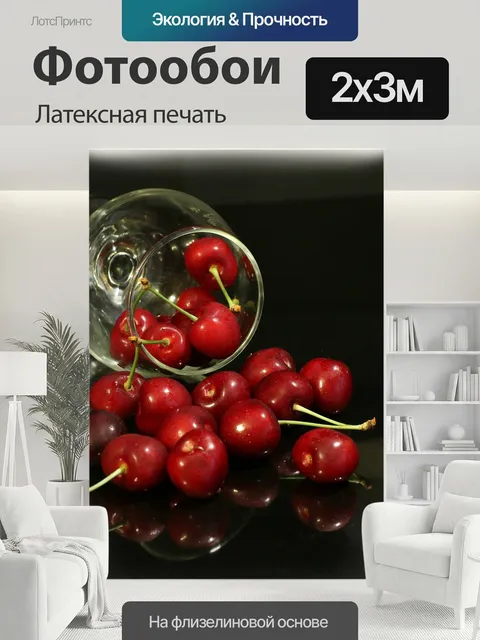 200 × 300 см · Латексная печать