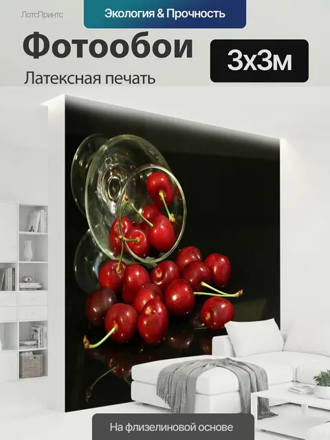 300 × 300 см · Латексная печать