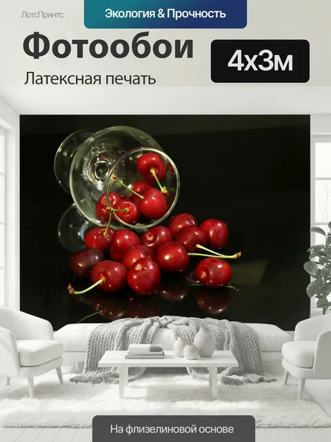400 × 300 см · Латексная печать