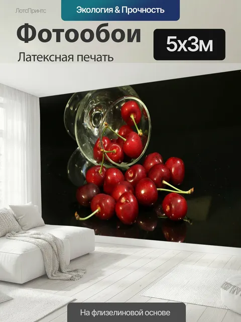 500 × 300 см · Латексная печать