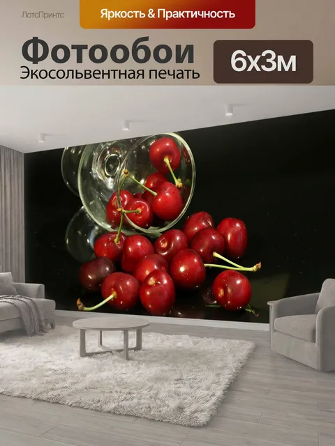 600 × 300 см · Экосольвентная печать