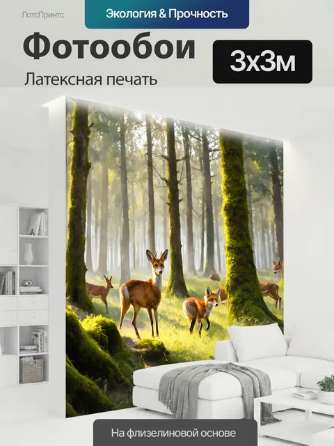 300 × 300 см · Латексная печать