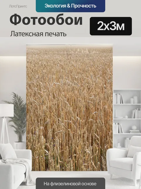 200 × 300 см · Латексная печать