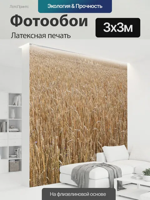 300 × 300 см · Латексная печать