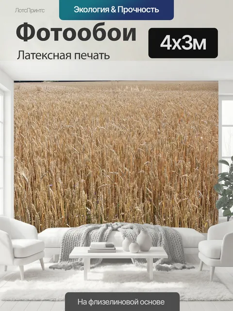 400 × 300 см · Латексная печать