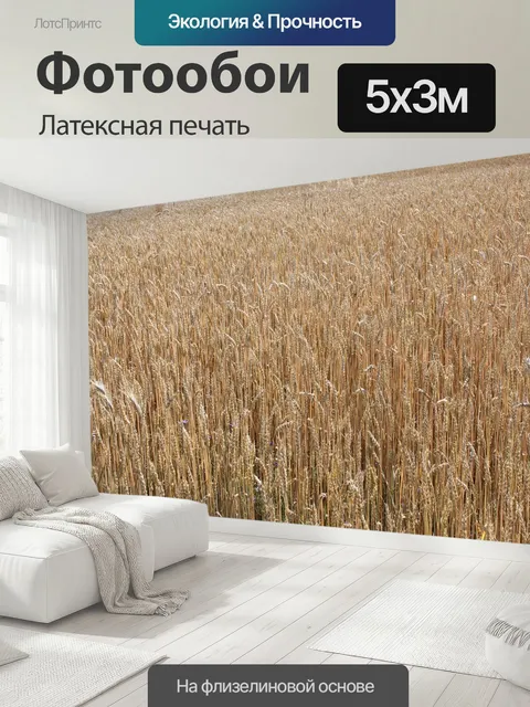500 × 300 см · Латексная печать