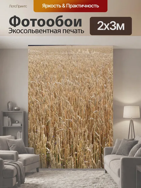 200 × 300 см · Экосольвентная печать