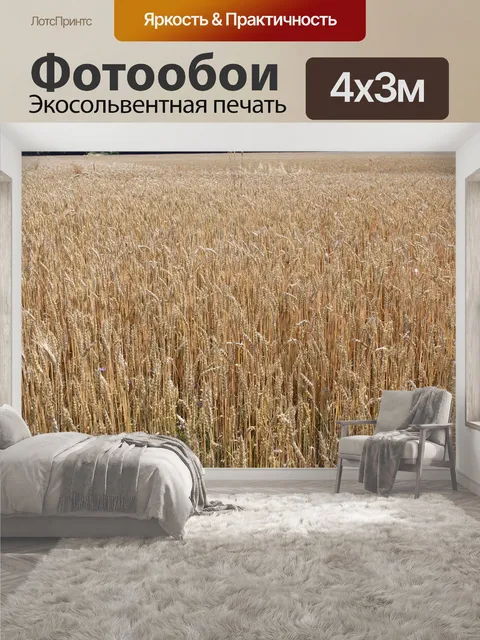 400 × 300 см · Экосольвентная печать