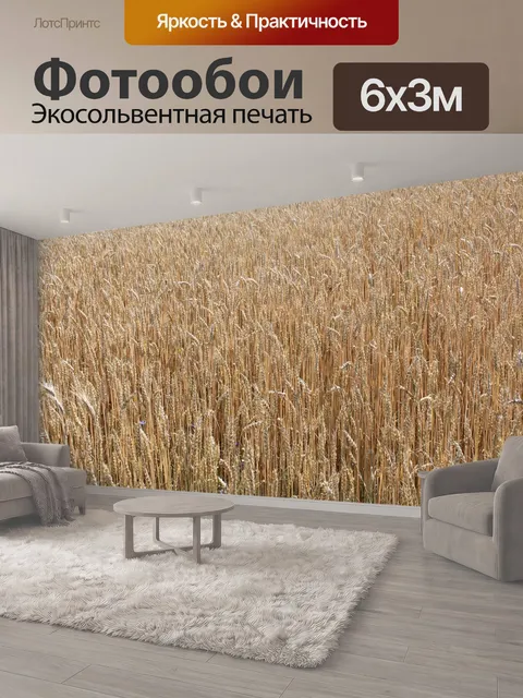 600 × 300 см · Экосольвентная печать