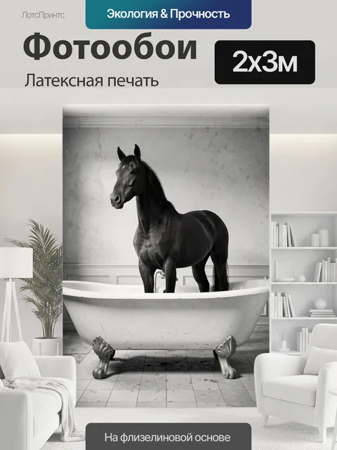 200 × 300 см · Латексная печать
