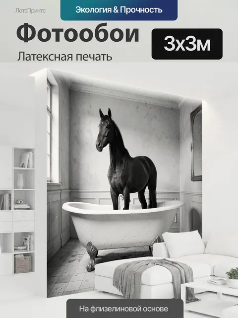 300 × 300 см · Латексная печать
