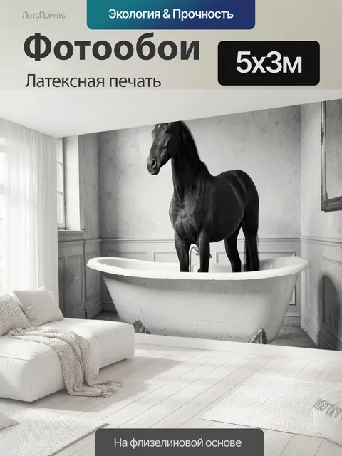 500 × 300 см · Латексная печать