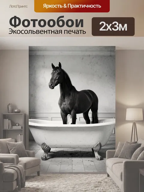 200 × 300 см · Экосольвентная печать
