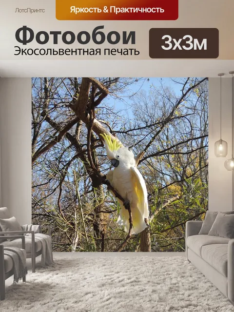 Фотообои Попугай, птица, попугай на дереве