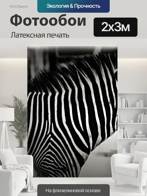 200 × 300 см · Латексная печать