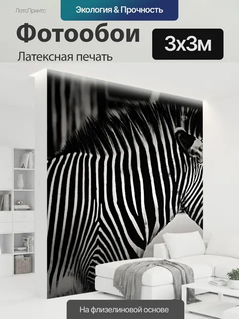300 × 300 см · Латексная печать