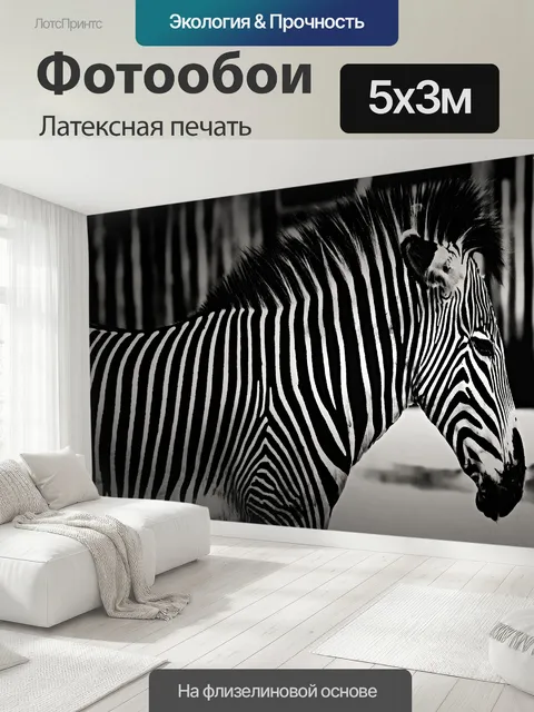 500 × 300 см · Латексная печать