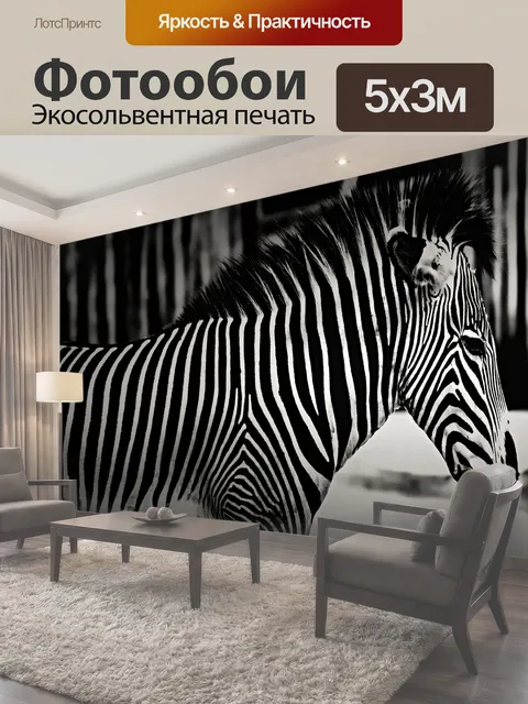 500 × 300 см · Экосольвентная печать