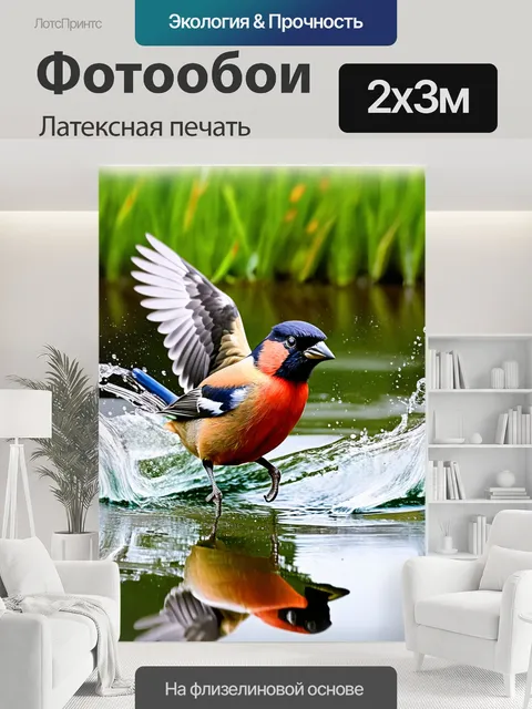 200 × 300 см · Латексная печать