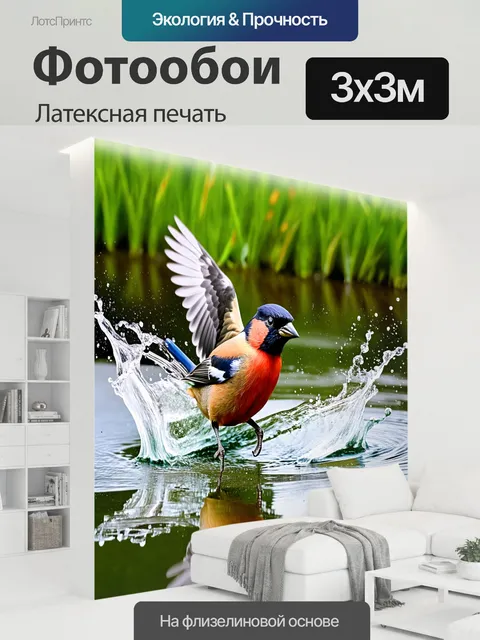 300 × 300 см · Латексная печать