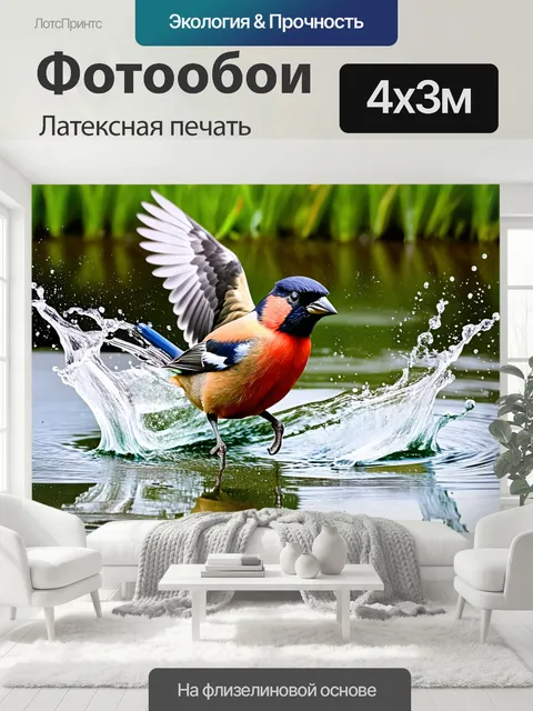 400 × 300 см · Латексная печать