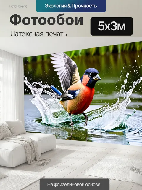 500 × 300 см · Латексная печать