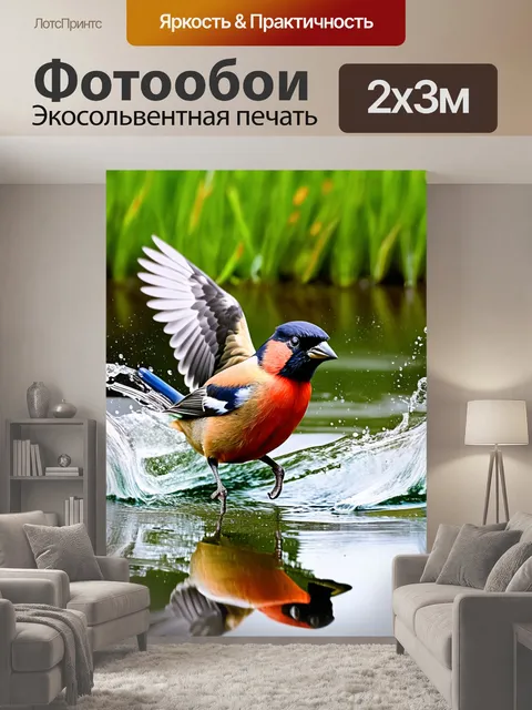200 × 300 см · Экосольвентная печать
