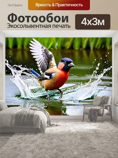 400 × 300 см · Экосольвентная печать
