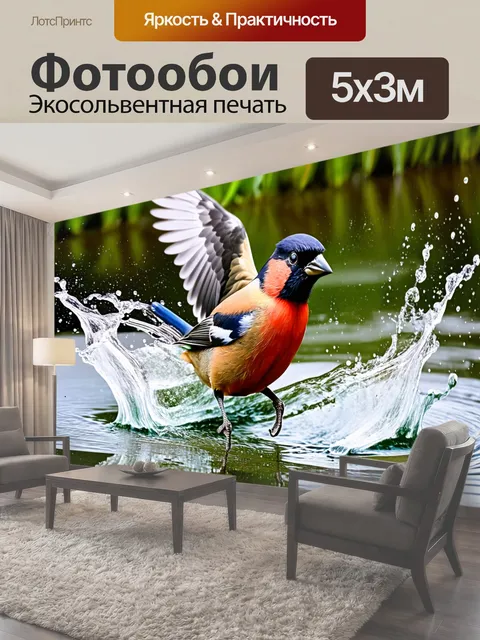 500 × 300 см · Экосольвентная печать