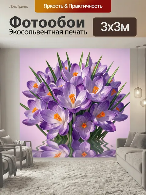 Фотообои Фиолетовые крокусы на розовом фоне. Нежная весенняя композиция с распустившимися сиреневыми бутонами, яркими …
