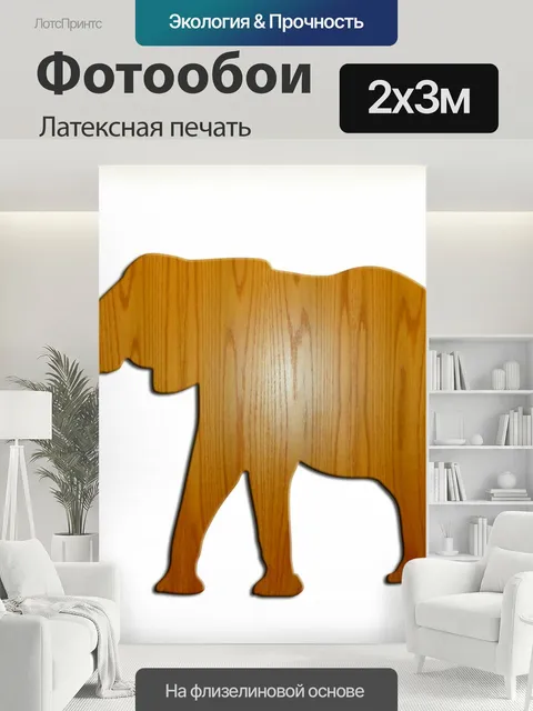 200 × 300 см · Латексная печать