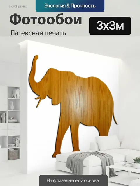 300 × 300 см · Латексная печать