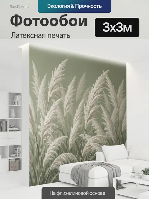 300 × 300 см · Латексная печать