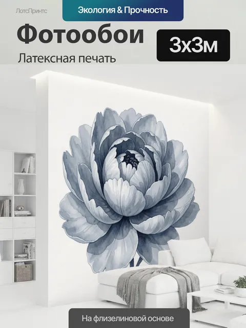300 × 300 см · Латексная печать