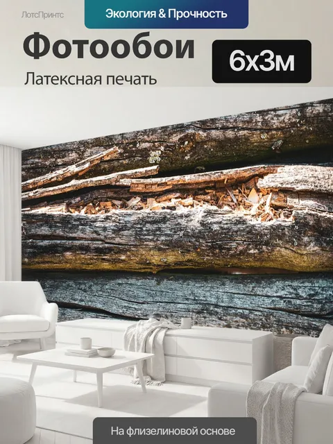 600 × 300 см · Латексная печать
