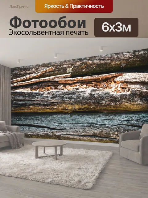 600 × 300 см · Экосольвентная печать