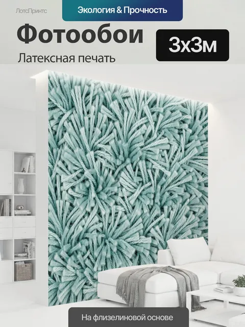 300 × 300 см · Латексная печать
