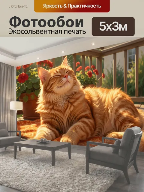 Фотообои Рыжий кот на солнечной террасе