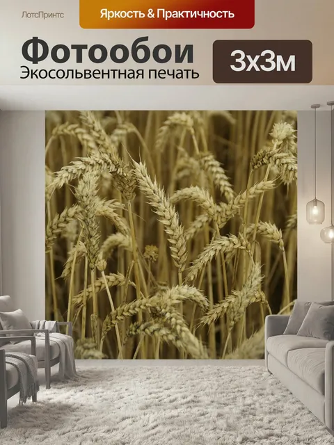 Фотообои Колосья пшеницы, зерновое поле, сельское хозяйство
