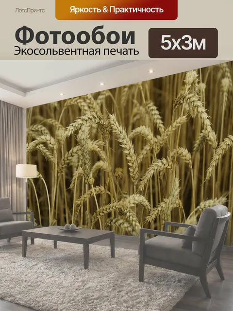 Фотообои Колосья пшеницы, зерновое поле, сельское хозяйство