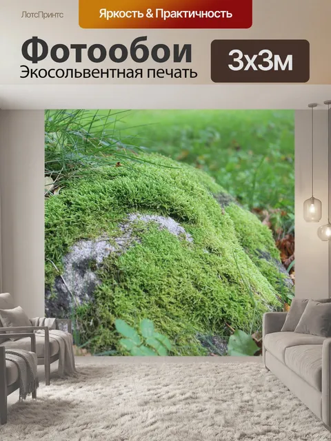Фотообои Камень, мох, зеленый