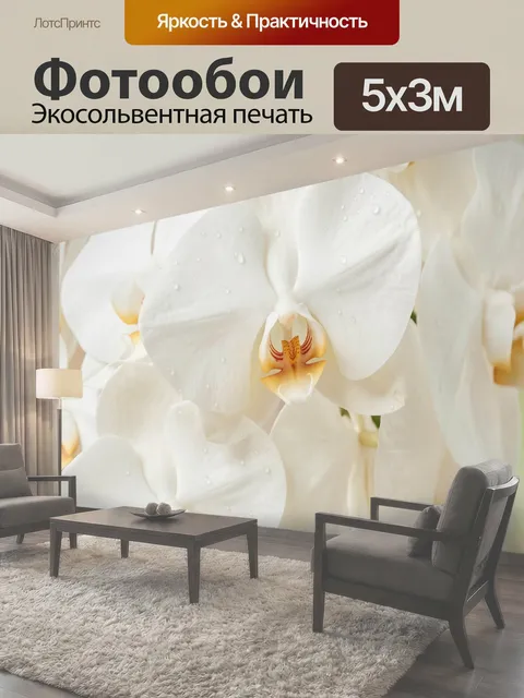 Фотообои Белые орхидеи с каплями росы