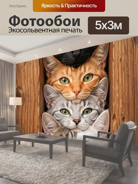 Фотообои Четыре кота в деревянных рамках