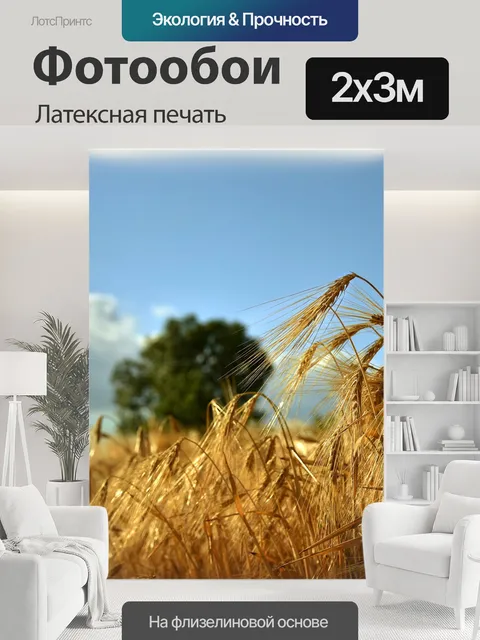 200 × 300 см · Латексная печать
